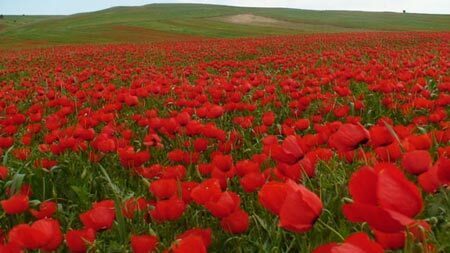 (تصاویر) ۹ جای تفریحی شناخته نشده در ایران