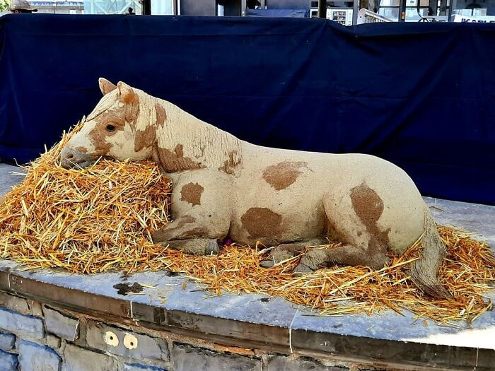 شگفت‌انگیزترین مجسمه‌هایی که با واقعیت مو نمی‌زنند