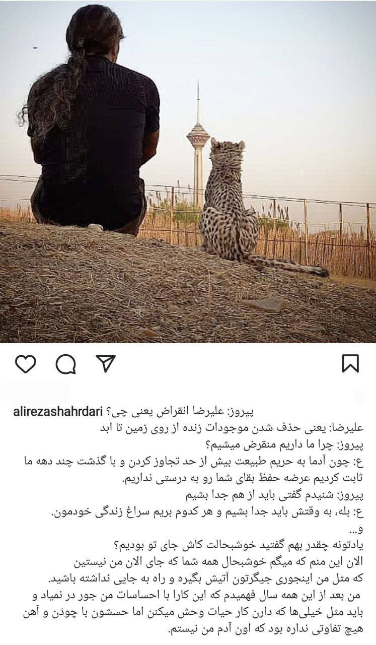 اولین واکنش علیرضا شهرداری به تلف شدن «پیروز»/ انقراض یعنی چی؟
