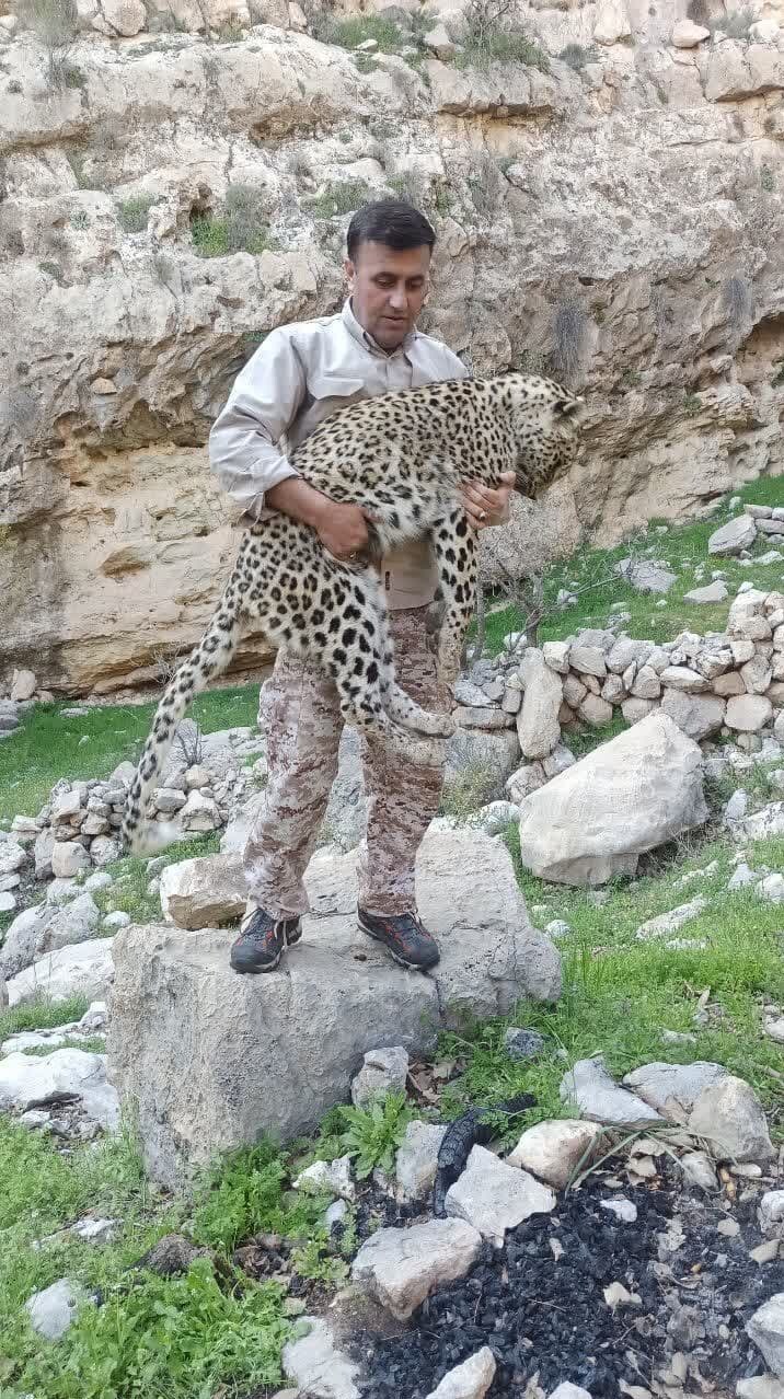 (عکس)