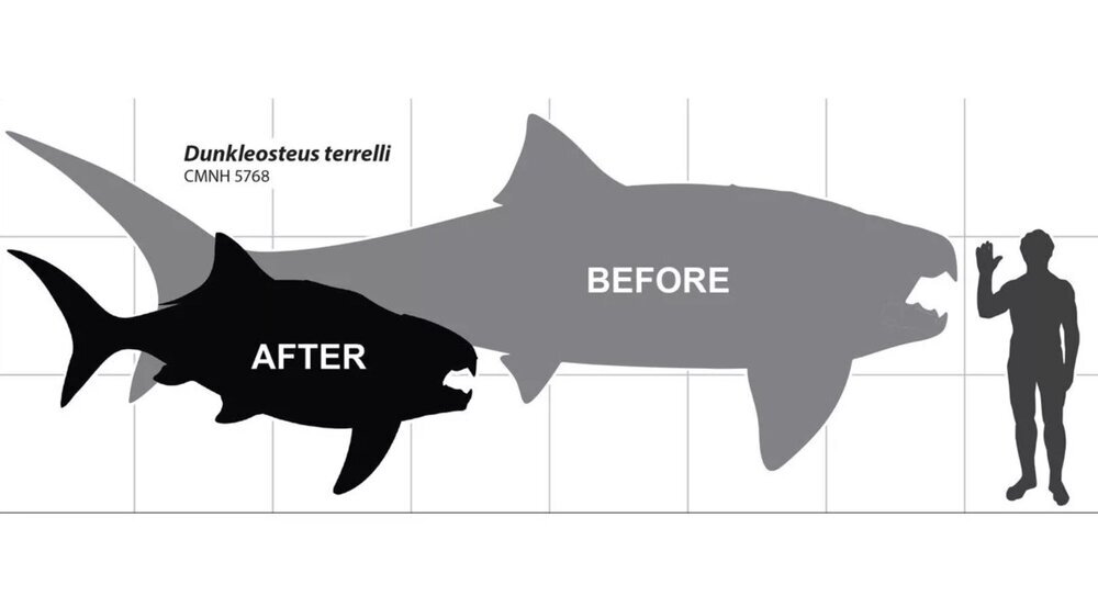 (عکس) انگار از فیلم‌های ترسناک بیرون آمده / کشف تازه درباره هیولای باستانی