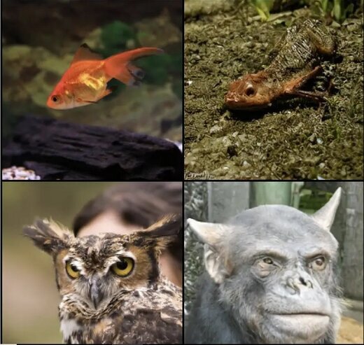 (تصاویر) شگفت انگیزترین یافته درباره ترسناک‌ترین پیشرفت جدید بشر!