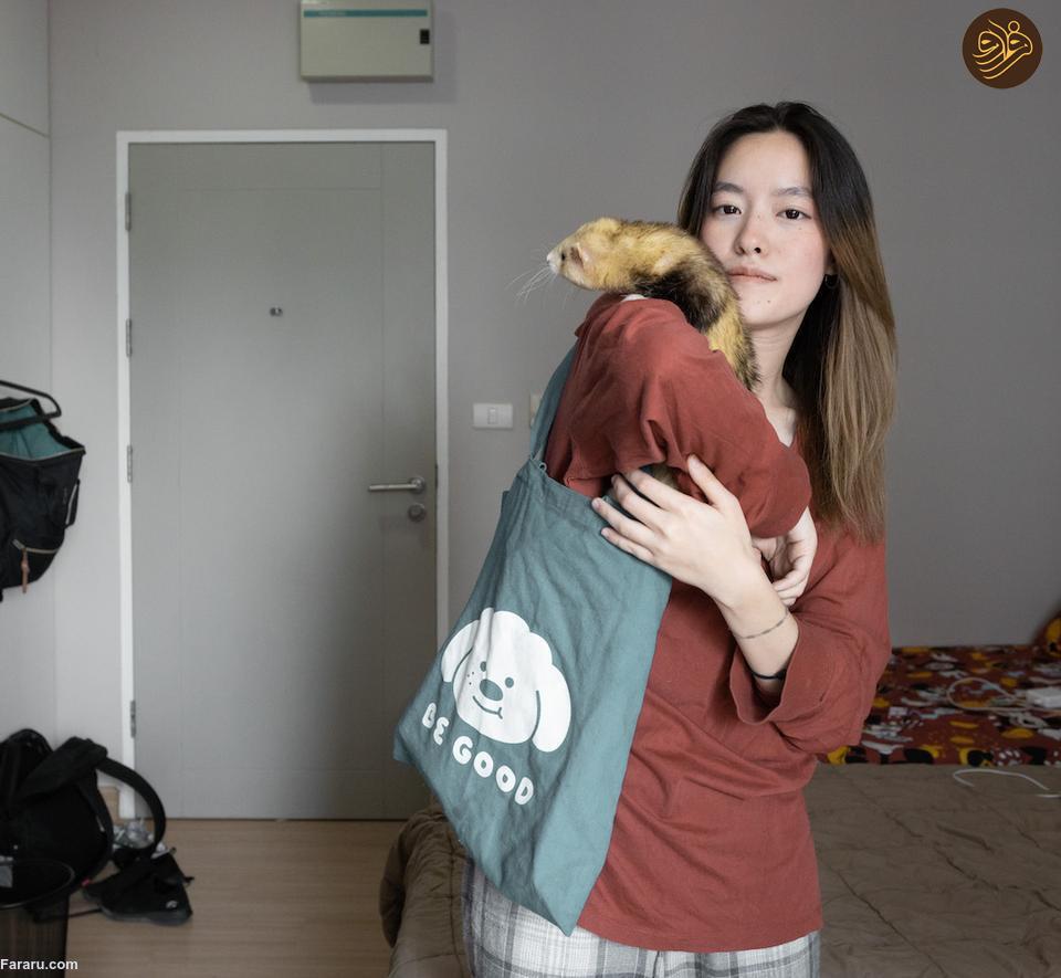 حیوانات خانگی