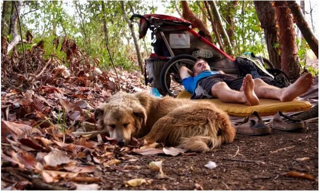 تام تورچیچ و سگ همسفرش؛ مردی که پیاده سراسر جهان را قدم زد/ پیاده روی هفت ساله مردی در سراسر جهان برای کشف معنای زندگی/ ملاقات با دهمین انسان و اولین سگی که دور دنیا را پیاده پیمودند//ترجمه