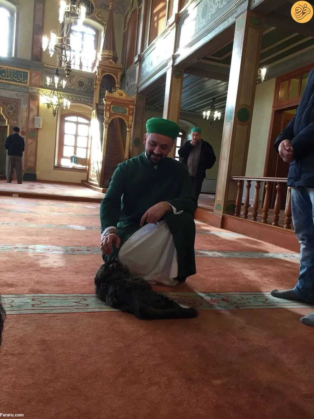 (عکس)