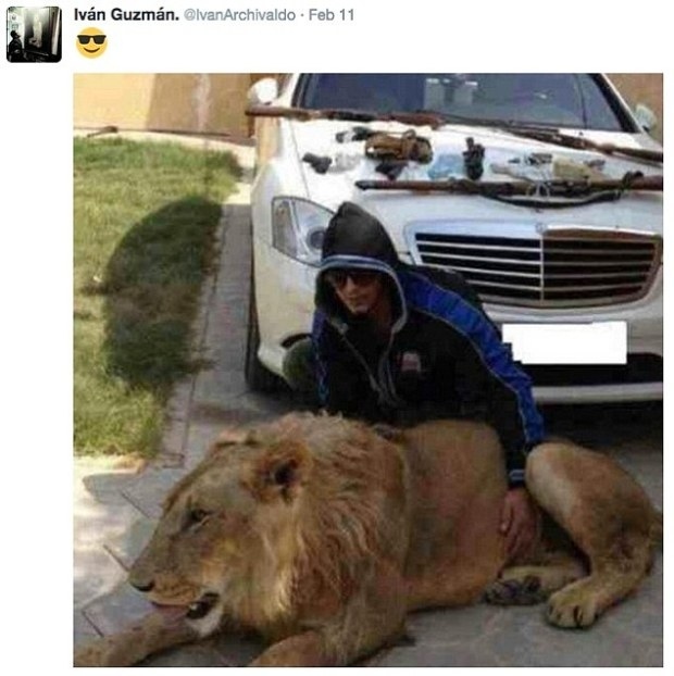 پسران ال چاپو دشمنانشان را غذای ببر‌های خود می‌کردند/سرنوشت فرزندان ال چاپو چه شد؟