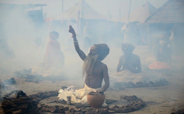 نوشیدن ادرار گاو مضر است پس چرا مردم در هند هر روز آن را مصرف می‌کنند؟ / چرا علیرغم مضربودن هندی‌ها ادرار گاو را می‌نوشند؟