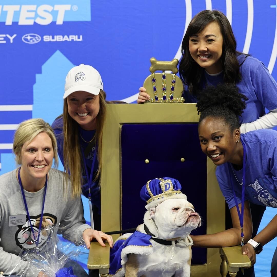 (عکس) تاج‌گذاری یک سگ در دانشگاهی در آمریکا