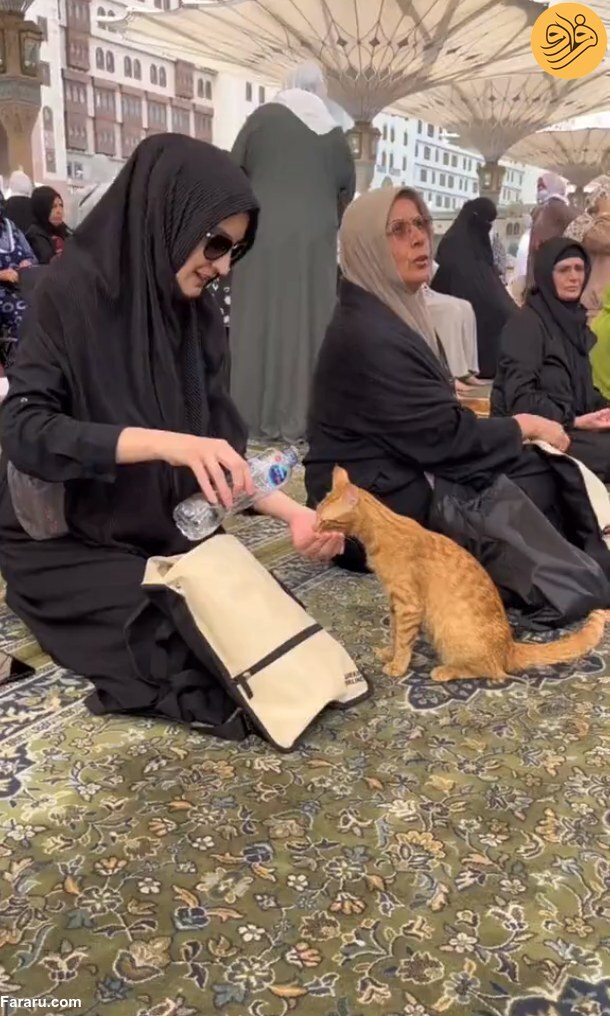 (عکس)