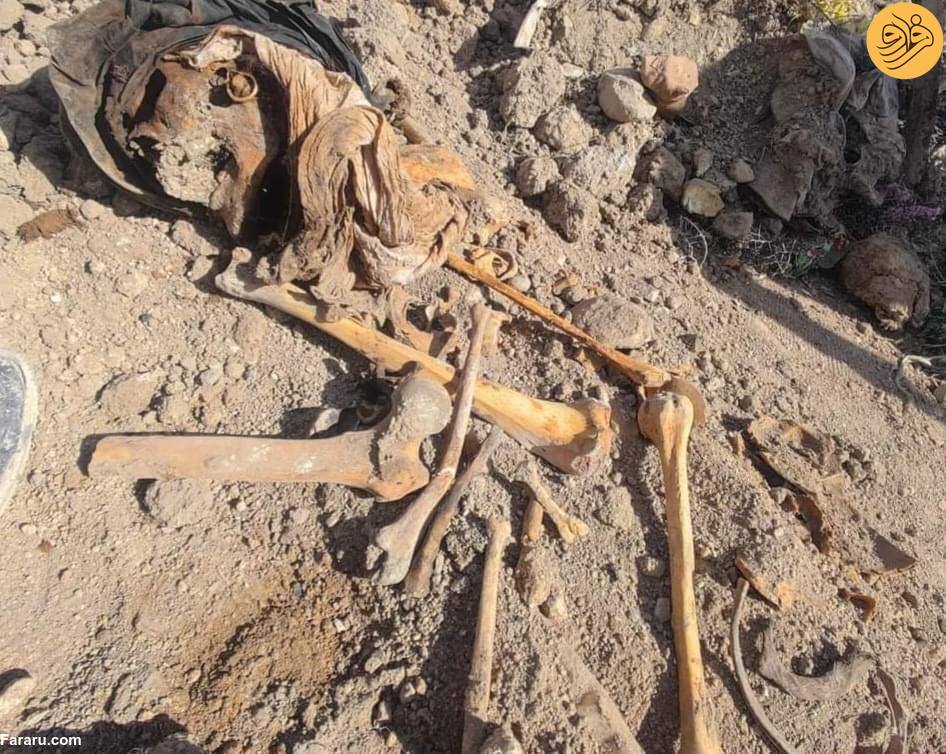 (عکس)