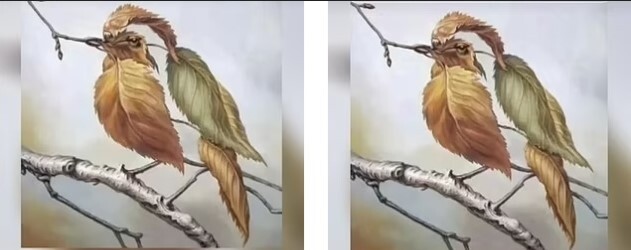 تست خطای دیدی که می‌تواند بخش‌هایی از شخصیت شما را آشکار کند