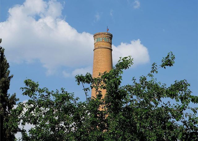 در این نقطه از تهران، سبزترین موجودات جهان بغلتان می‌کنند