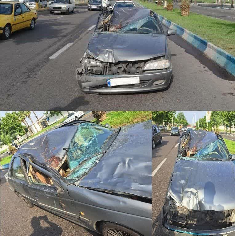(تصاویر) تصادف پژو با اسب؛ راننده فوت کرد