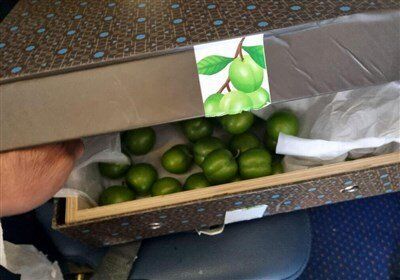 خط داغ اخبار روز دوشنبه ۲۲ خرداد ۱۴۰۲