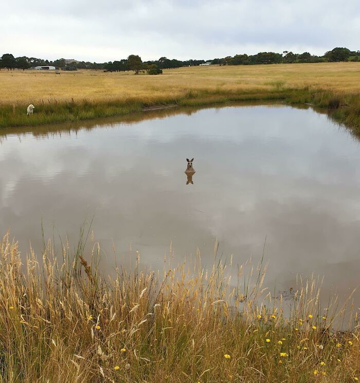 ۱۶ عکس که دیدنش جرات زیادی می‌خواهد، بیماران قلبی نبینند