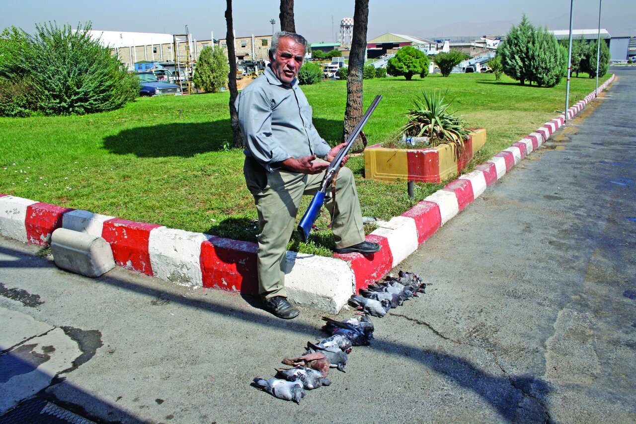 (عکس) شغل، شکارچی فرودگاه مهرآباد؛ این عجیب‌ترین شغل دنیاست