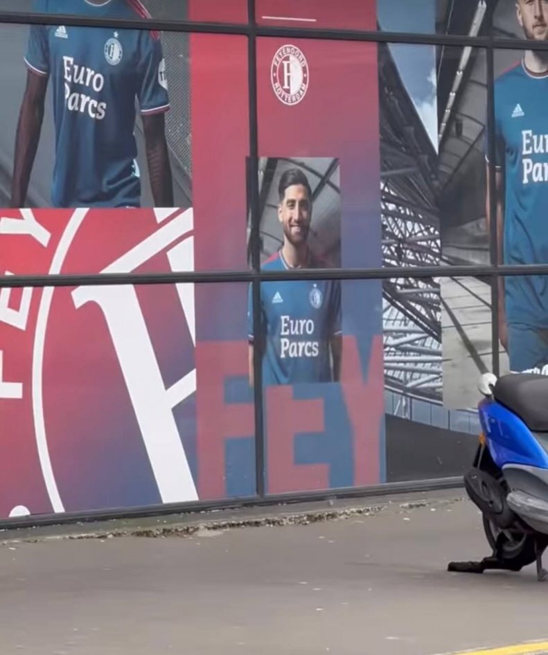 (عکس) تیم ملی والیبال، مهمان علیرضا جهانبخش!