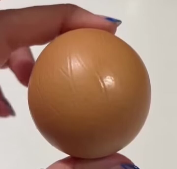 تخم‌مرغ گرد