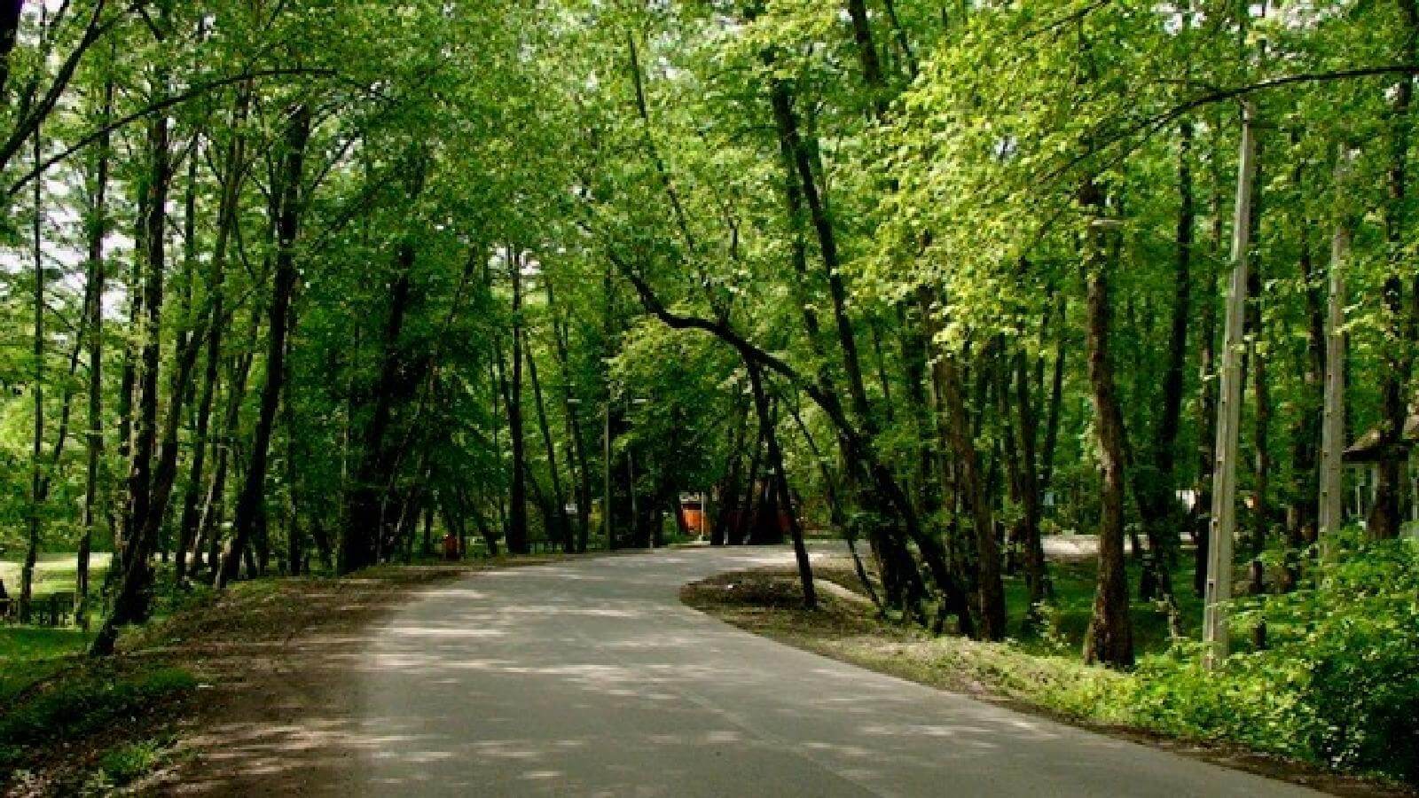 (تصاویر) زیباترین پارک‌های جنگلی ایران؛ طبیعتی بکر و دلنشین