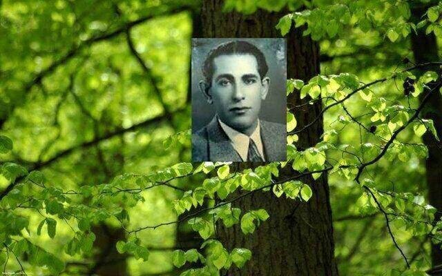 ارزان‌ترین پارک تهران را چه کسی ساخت؟/ یک باغبان و چند کارگر ساده، همه امکانات پدر جنگلبانی ایران