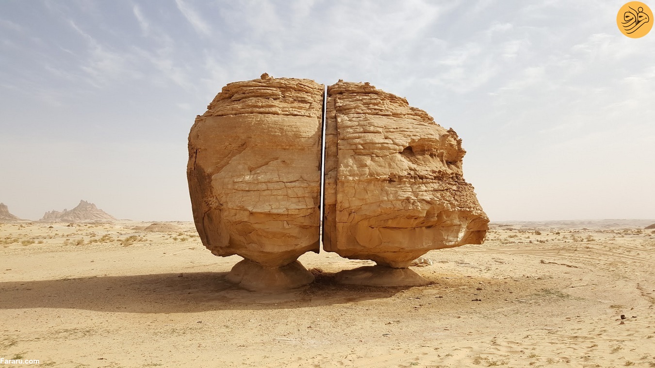 (تصاویر)
