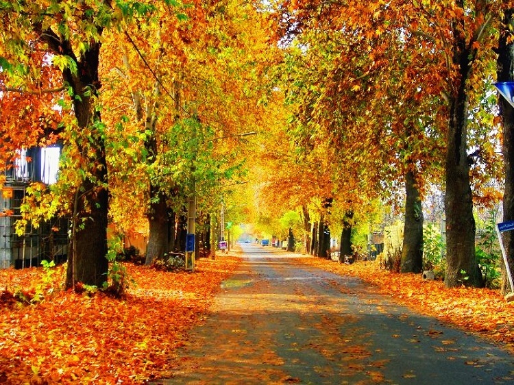 پیشنهاد سفر یک روزه به روستاهای غرب تهران؛ از آتشگاه تا برغان