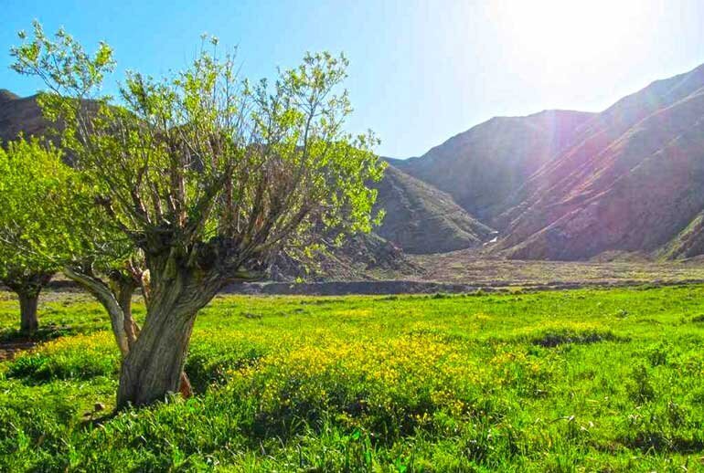 روزی روزگاری پاتوق ناصرالدین شاه/ سفر یک روزه به یک روستای خنک و قشنگ در نزدیکی تهران