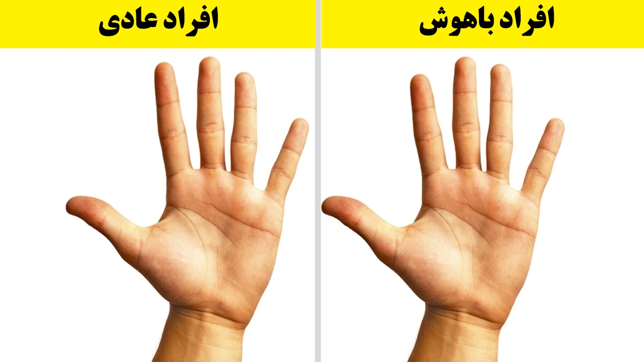 (تصاویر) ۸ مورد عجیبی که ثابت می‌کند شما فرد باهوشی هستید