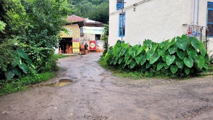 (عکس) ۵ تجربه متفاوت در سفرِ شمال