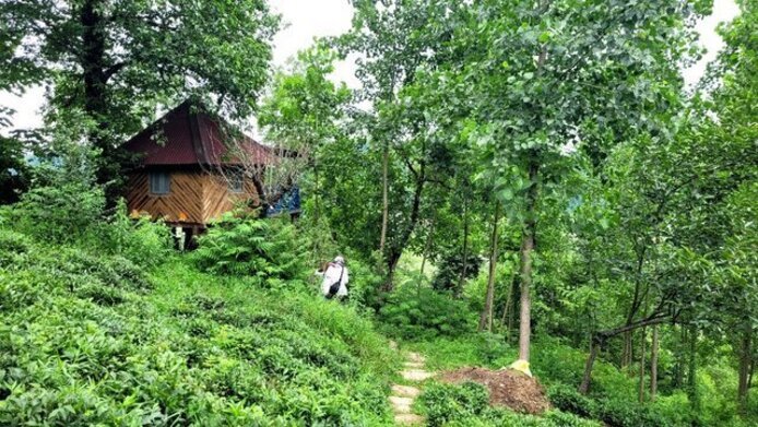 (عکس) ۵ تجربه متفاوت در سفرِ شمال