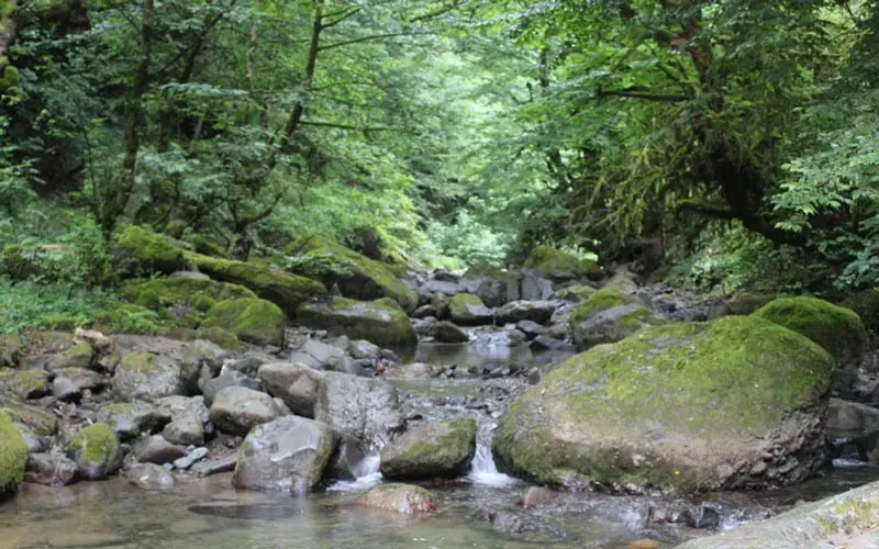 جواهردشت؛ عروس مراتع مخملی شمال ایران