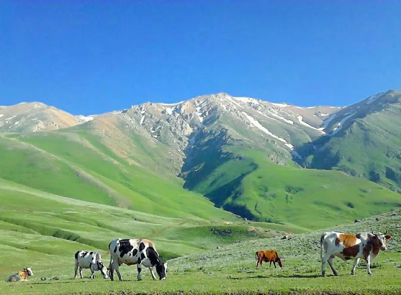 جواهردشت؛ عروس مراتع مخملی شمال ایران