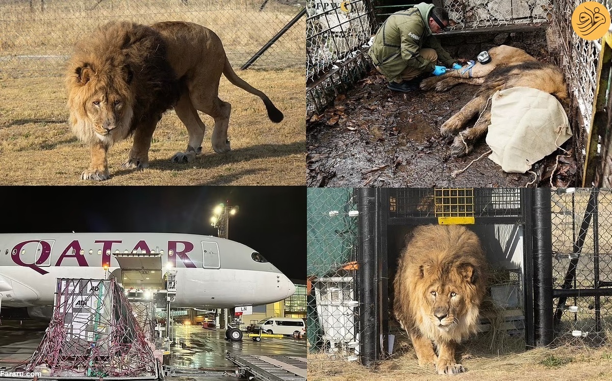 (تصاویر)
