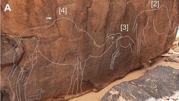 رمزگشایی از حکاکی اسرارآمیز در صحرای عربستان