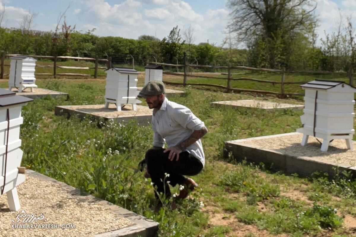 (عکس) سرگرمی‌های جالب دیوید بکام که باور نمی‌کنید!