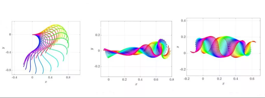 رمزگشایی از حرکت اسپرم؛ میکروارگانیسمهایی که قانون سوم نیوتن را نقض میکنند رمزگشایی از حرکت اسپرم؛ میکروارگانیسمهایی که قانون سوم نیوتن را نقض میکنند