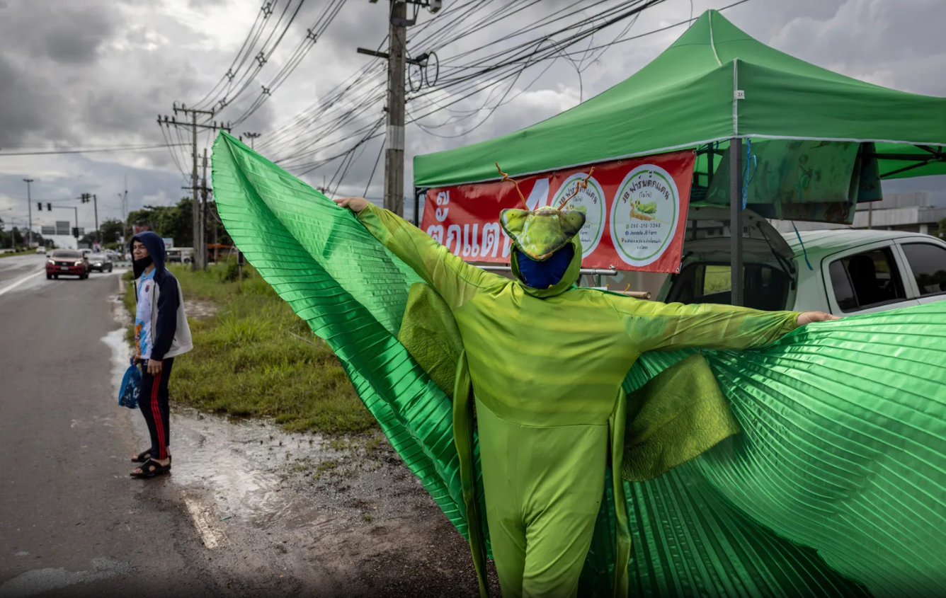 غذای آینده: