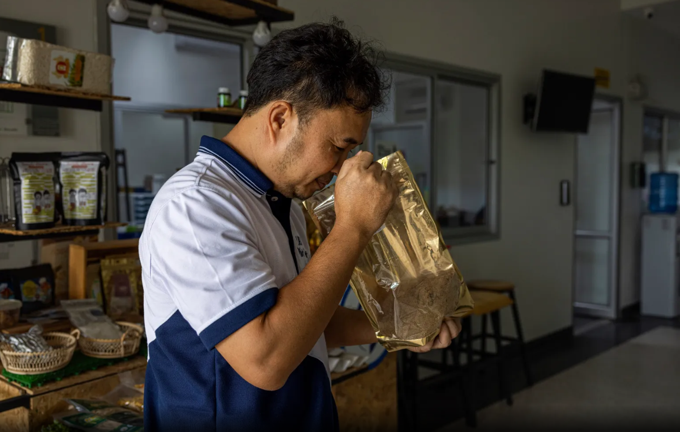 غذای آینده: