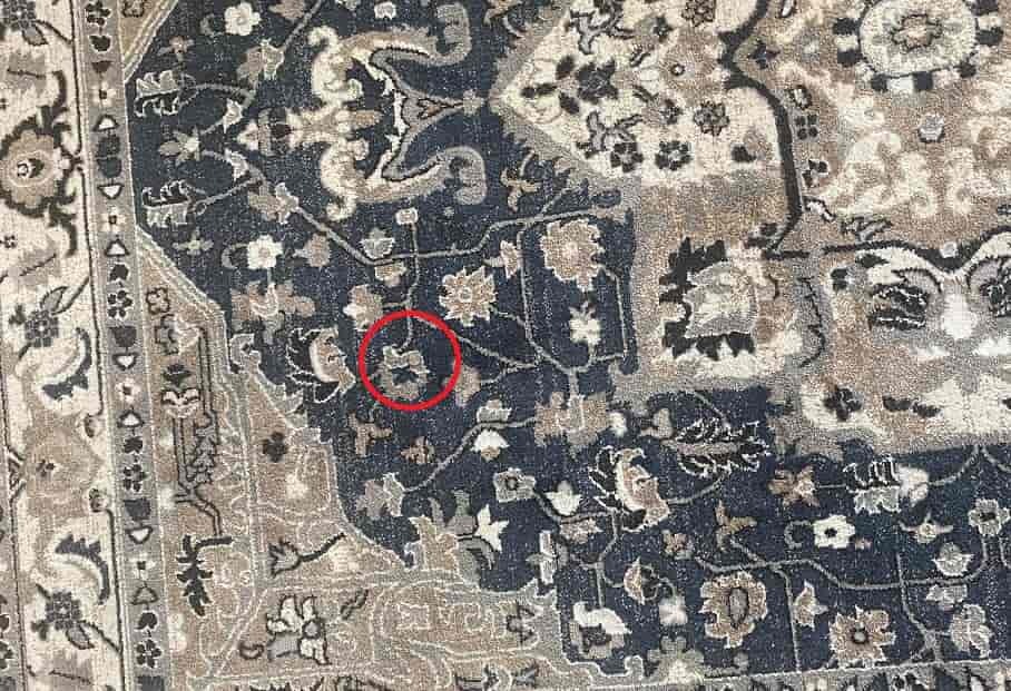 سکه گم‌شده در تصویر زیر را پیدا کنید