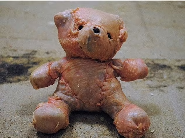 تصاویری از غذا‌های ناخوشایند و ترسناکی که اشتهایتان را کور می‌کند!