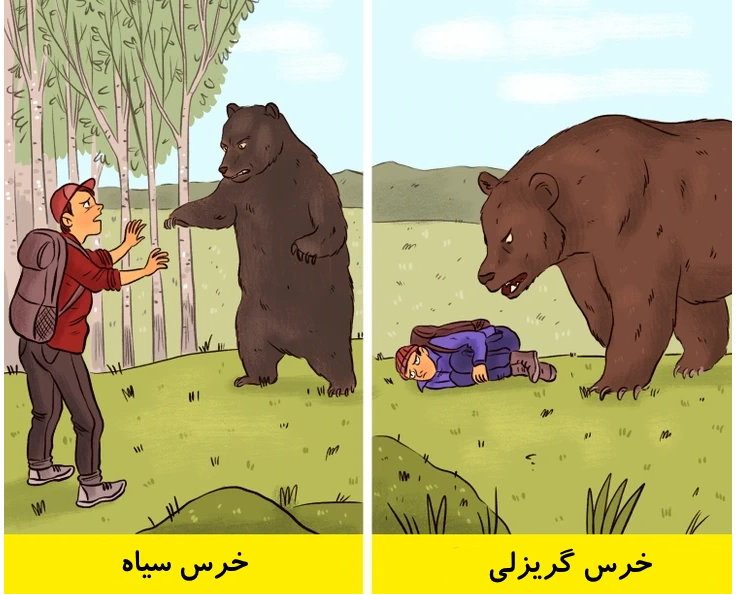 ۱۰ نکته برای بقا که در صورت گم شدن در طبیعت وحشی می‌توانند شما را نجات دهند