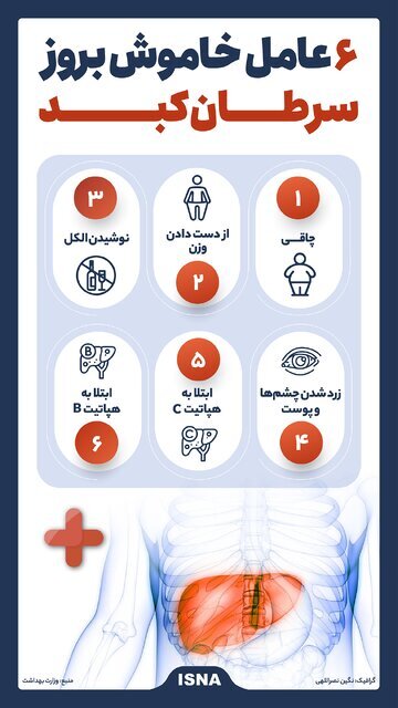 (اینفوگرافیک) ۶ عامل خاموش بروز سرطان کبد