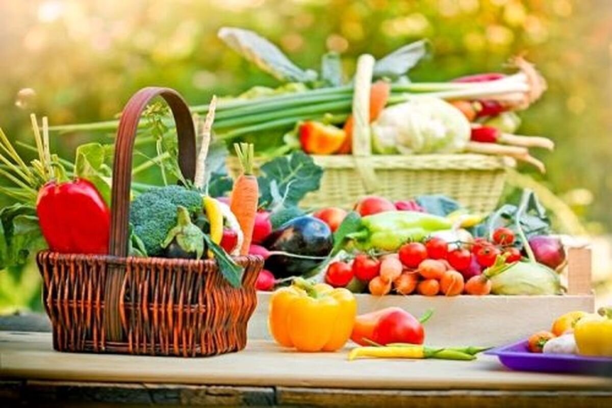 با این کار‌ها به سادگی لاغر شوید