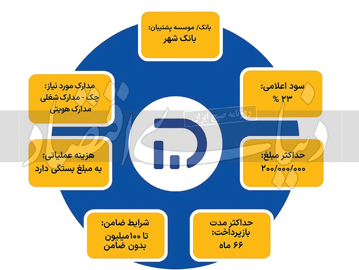 دریافت تسهیلات خرد از کدام شرکت ساده‌تر است؟ ///