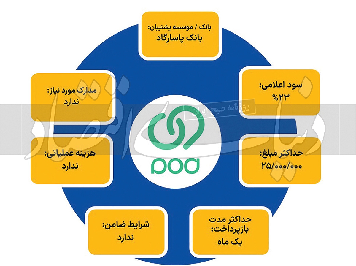 دریافت تسهیلات خرد از کدام شرکت ساده‌تر است؟ ///