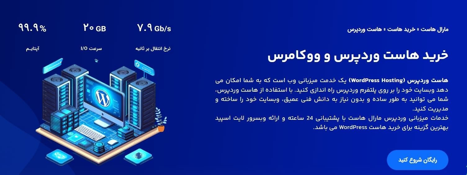 برای وردپرس از سرور مجازی استفاده کنیم یا هاست وردپرس؟ چرا؟!