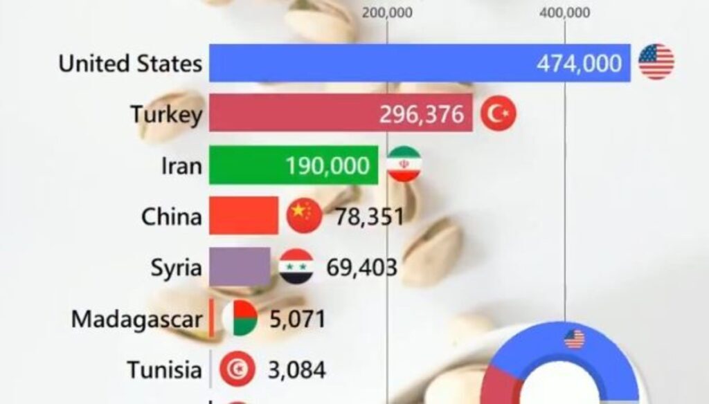 بزرگترین تولیدکنندگان پسته در جهان در ۴۰ سال اخیر؛ جایگاه ایران کجاست؟