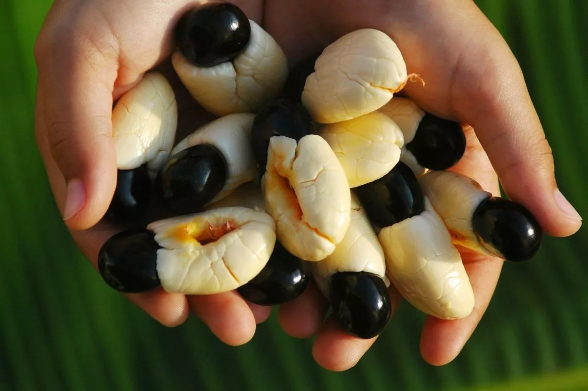 هفت غذای خطرناک در جهان؛ از جمله غذا‌های اصلی روزمره که شما را شوکه می‌کند