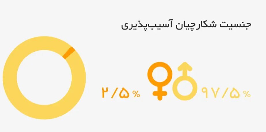 چند درصد هکر‌های کلاه سفید ایرانی زن هستند؟ / درآمد چشمگیر هکر‌ها