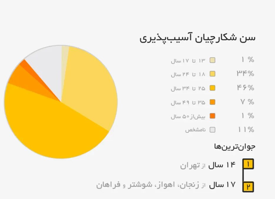چند درصد هکر‌های کلاه سفید ایرانی زن هستند؟ / درآمد چشمگیر هکر‌ها